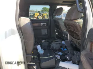 2009 Ford F-150 XL with VIN 1FTPW14V19FB17234, listed as a Copart auction lot 53957085 with 0 mi miles and Salvage Title. Bid and sale history available at carsss.com. Image 10.
