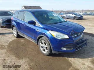 2014 Ford Escape SE with VIN 1FMCU0GX5EUC94060, listed as a IAAI auction lot 41759882 with 189,142 mi miles. Bid and sale history available at carsss.com. Image 1.