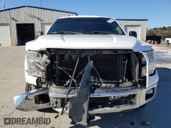 2017 Ford F-150 XL with VIN 1FTEW1CF3HFC04617, listed as a Copart auction lot 88091065 with 206,559 mi miles and Salvage title. Bid and sale history available at DreamBid. Image 5.