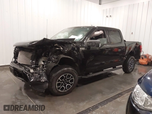 2023 Ford F-150 XL с VIN 1FTEW1EP1PKG06986, выставлен на аукционе IAAI как лот 41710895 с пробегом 9 175 миль миль и . История ставок и продаж доступна на DreamBid. Изображение 21.