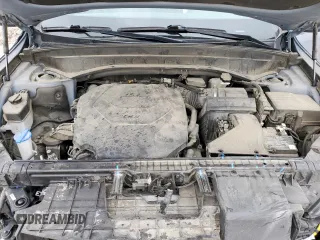 2022 Kia Telluride LX with VIN 5XYP2DHC5NG284645, listed as a Copart auction lot 57147955 with 47,664 mi miles and Salvage title. Bid and sale history available at DreamBid. Image 12.