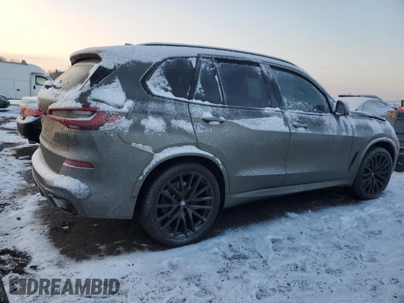 2023 BMW X5 xDrive40i with VIN 5UXCR6C07P9P85087, listed as a Copart auction lot 89091475 with Not provided miles and Salvage title. Bid and sale history available at DreamBid. Image 3.