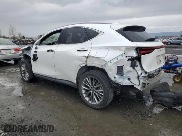 2023 Lexus NX 350h Luxury with VIN JTJHKCEZ4P5008778, listed as a Copart auction lot 45281265 with 21,724 mi miles and Salvage Title. Bid and sale history available at DreamBid. Image 2.