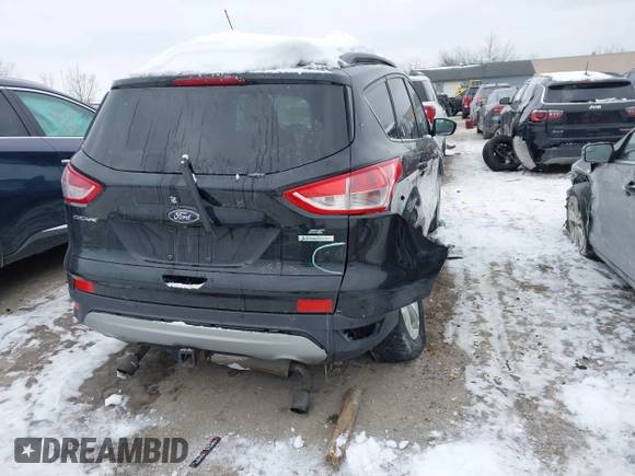 2014 Ford Escape SE with VIN 1FMCU0G96EUC62476, listed as a IAAI auction lot 41352751 with 122,369 mi miles. Bid and sale history available at carsss.com. Image 4.