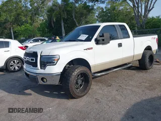2009 Ford F-150 XLT with VIN 1FTRX12V09KB40570, listed as a IAAI auction lot 42300754 with 143,063 mi miles and . Bid and sale history available at DreamBid. Image 18.