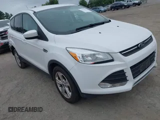 2013 Ford Escape SE z VIN 1FMCU0GX3DUB09289, wystawiony jako IAAI lot #42576472 z przebiegiem 123 130 mil mil oraz . Historia ofert i sprzedaży dostępna na DreamBid. Obrazek 1.