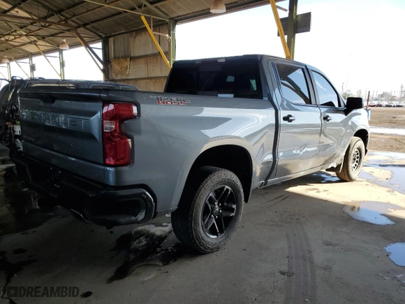 2019 Chevrolet Silverado 1500 LT Trail Boss with VIN 1GCPYFED4KZ273172, listed as a Copart auction lot 44144465 with 105,124 mi miles and Salvage Title. Bid and sale history available at carsss.com. Image 3.