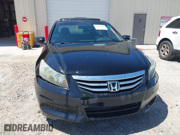 2009 Honda Accord EX-L with VIN 1HGCP36849A035933, listed as a IAAI auction lot 42059622 with 216,513 mi miles and . Bid and sale history available at DreamBid. Image 6.