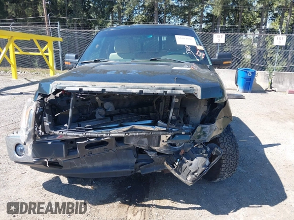 2013 Ford F-150 XL с VIN 1FTFX1EF5DFD70453, выставлен на аукционе IAAI как лот 42081881 с пробегом Не указан миль и . История ставок и продаж доступна на DreamBid. Изображение 12.