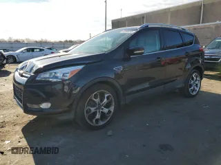2014 Ford Escape Titanium with VIN 1FMCU9JX1EUB94017, listed as a Copart auction lot 49996095 with 138,127 mi miles and Clean Title. Bid and sale history available at carsss.com. Image 1.