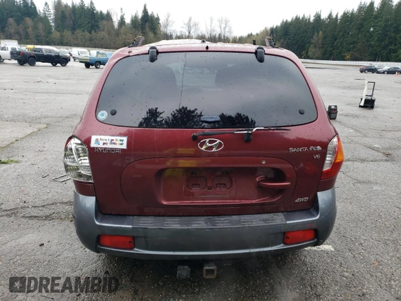 2005 Hyundai Santa Fe GLS with VIN KM8SC73D55U876565, listed as a Copart auction lot 81161004 with 204,205 mi miles and Salvage title. Bid and sale history available at DreamBid. Image 6.
