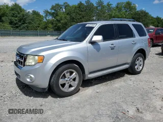 2010 Ford Escape Limited with VIN 1FMCU0E77AKC58458, listed as a Copart auction lot 64207645 with 160,650 mi miles and Salvage title. Bid and sale history available at DreamBid. Image 1.