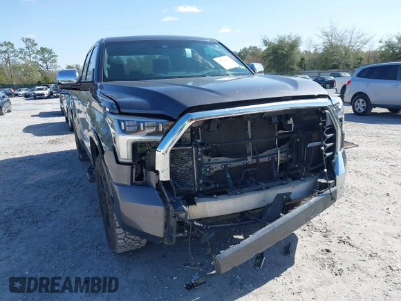 2022 Toyota Tundra 1794 Edition with VIN 5TFMA5DB9NX015571, listed as a IAAI auction lot 41730283 with 76,429 mi miles and . Bid and sale history available at DreamBid. Image 6.