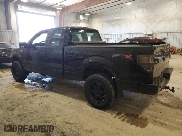 2013 Ford F-150 XL with VIN 1FTFX1EFXDFD26755, listed as a Copart auction lot 49045485 with 122,854 mi miles and Clean Title. Bid and sale history available at DreamBid. Image 2.