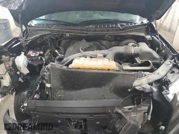 2016 Ford F-150 XL with VIN 1FTEX1CP6GFD58405, listed as a Copart auction lot 47052915 with Not provided miles and Salvage title. Bid and sale history available at DreamBid. Image 13.