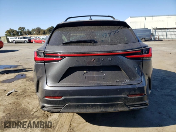 2023 Lexus NX with VIN 2T2GKCEZ8PC014161, listed as a Copart auction lot 79668094 with 17,630 mi miles and Salvage Title. Bid and sale history available at carsss.com. Image 6.