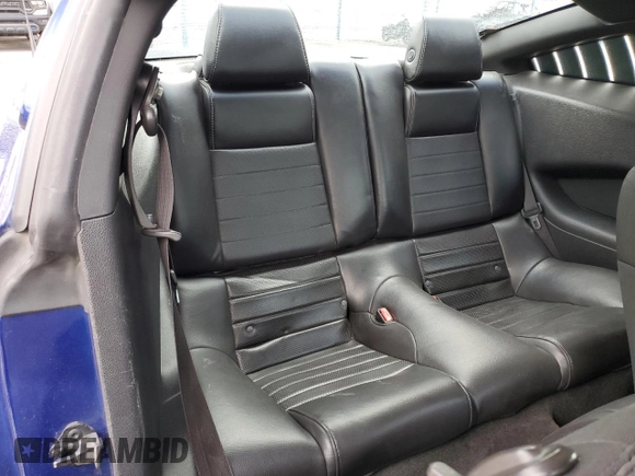 2014 Ford Mustang V6 with VIN 1ZVBP8AM1E5285089, listed as a Copart auction lot 48052615 with Not Provided miles and Salvage Title. Bid and sale history available at carsss.com. Image 10.