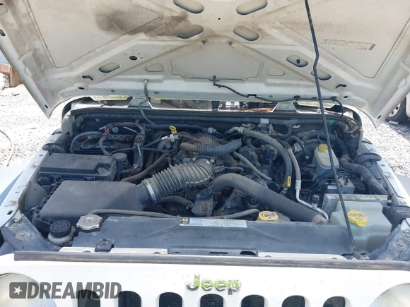 2009 Jeep Wrangler X with VIN 1J4FA24149L781794, listed as a IAAI auction lot 42352426 with 99,128 mi miles and . Bid and sale history available at DreamBid. Image 10.