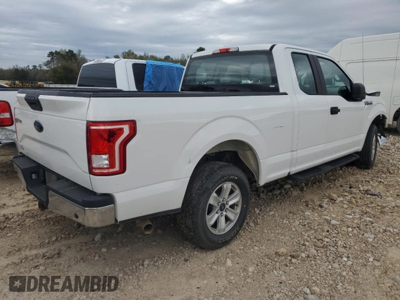 2017 Ford F-150 XL with VIN 1FTEX1CFXHFA67219, listed as a Copart auction lot 48943805 with 146,240 mi miles and Salvage Title. Bid and sale history available at carsss.com. Image 3.