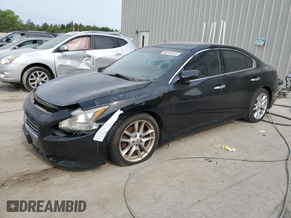 2010 Nissan Maxima SV with VIN 1N4AA5AP3AC818127, listed as a Copart auction lot 58318415 with Not provided miles and Clean title. Bid and sale history available at DreamBid. Image 1.