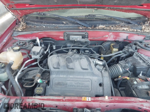 2003 Ford Escape XLT Popular 2 с VIN 1FMYU93173KC74798, выставлен на аукционе IAAI как лот 42687223 с пробегом 175 346 миль миль и . История ставок и продаж доступна на DreamBid. Изображение 10.