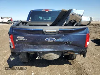 2017 Ford F-150 XL with VIN 1FTEW1C80HKD49171, listed as a Copart auction lot 46488475 with 172,675 mi miles and Salvage Title. Bid and sale history available at carsss.com. Image 6.