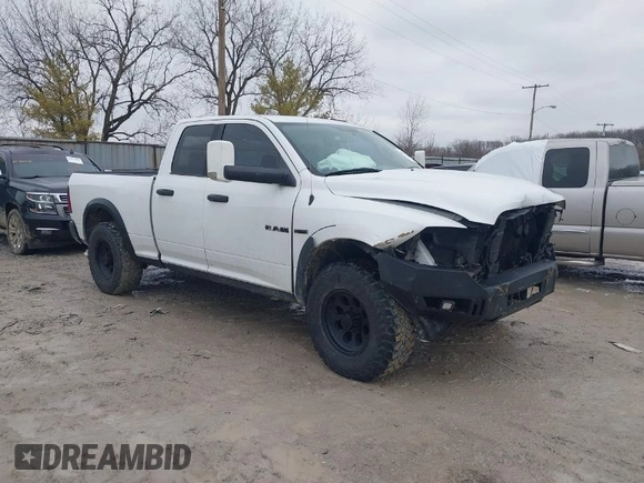 2010 Dodge 1500 SLT with VIN 1D7RV1GT7AS137785, listed as a IAAI auction lot 41519997 with 204,854 mi miles and . Bid and sale history available at DreamBid. Image 1.