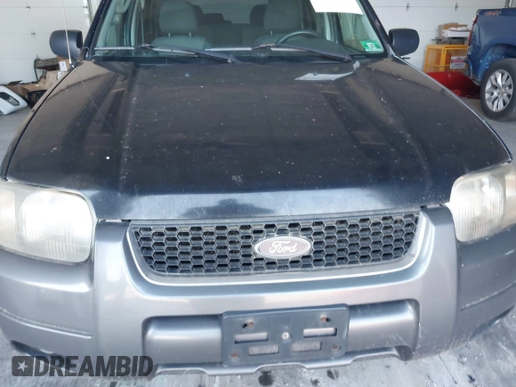 2004 Ford Escape XLT z VIN 1FMYU93114KB49698, wystawiony jako IAAI lot #42576733 z przebiegiem 317 848 mil mil oraz . Historia ofert i sprzedaży dostępna na DreamBid. Obrazek 6.