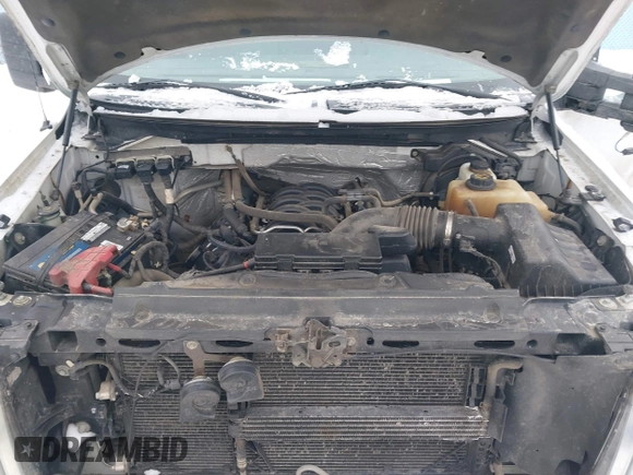 2013 Ford F-150 XL with VIN 1FTFX1EF5DFB37527, listed as a IAAI auction lot 41500050 with 231,877 mi miles and . Bid and sale history available at DreamBid. Image 10.