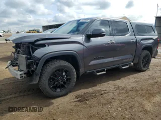 2023 Toyota Tundra Limited with VIN 5TFJA5DB8PX083947, listed as a Copart auction lot 59283695 with 19,089 mi miles and Salvage title. Bid and sale history available at DreamBid. Image 1.