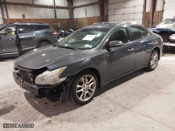 2009 Nissan Maxima 3.5 S with VIN 1N4AA51E19C852416, listed as a IAAI auction lot 41328132 with 145,498 mi miles. Bid and sale history available at carsss.com. Image 18.