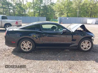 2012 Ford Mustang Premium with VIN 1ZVBP8AM1C5288023, listed as a IAAI auction lot 42486009 with 143,525 mi miles and . Bid and sale history available at DreamBid. Image 13.