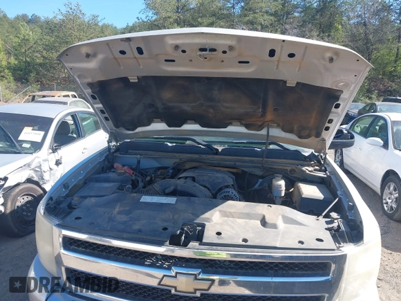 2011 Chevrolet Silverado 1500 LT with VIN 1GCRCSE04BZ229430, listed as a IAAI auction lot 41839292 with 182,777 mi miles and . Bid and sale history available at DreamBid. Image 10.