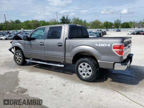 2013 Ford F-150 XL with VIN 1FTFW1EF3DFD32612, listed as a Copart auction lot 53959375 with 226,716 mi miles and Non repairable. Bid and sale history available at DreamBid. Image 2.