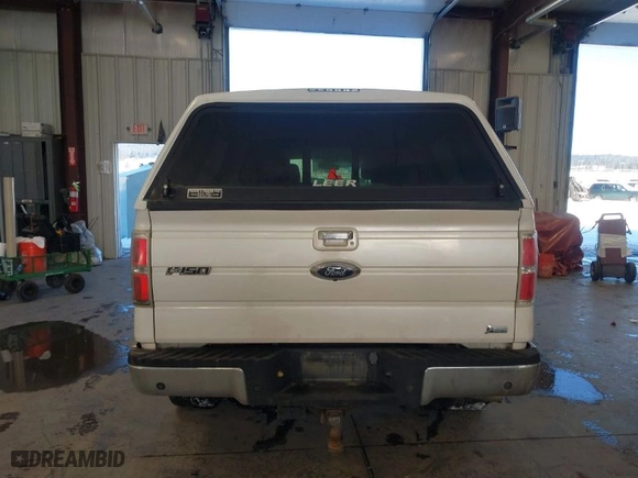 2010 Ford F-150 XL with VIN 1FTFW1EV6AFB71496, listed as a IAAI auction lot 41529006 with 376,638 mi miles. Bid and sale history available at carsss.com. Image 16.