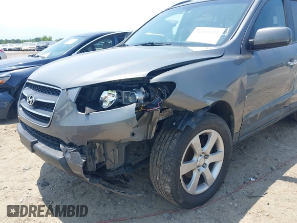 2009 Hyundai Santa Fe SE z VIN 5NMSH13E89H325006, wystawiony jako IAAI lot #42298182 z przebiegiem 164 253 mil mil oraz . Historia ofert i sprzedaży dostępna na DreamBid. Obrazek 6.