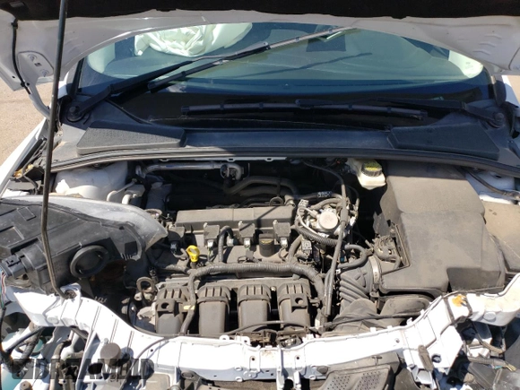 2017 Ford Focus SE with VIN 1FADP3F21HL300654, listed as a Copart auction lot 55987305 with Not provided miles and Salvage title. Bid and sale history available at DreamBid. Image 11.