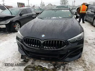 2019 BMW 8 Series M850i xDrive with VIN WBABC4C54KBU96021, listed as a Copart auction lot 82682333 with 0 mi miles. Bid and sale history available at carsss.com. Image 10.