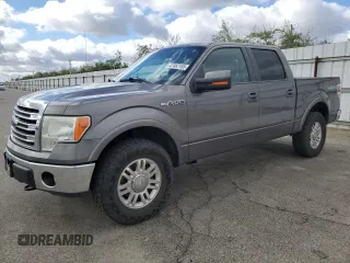 2013 Ford F-150 XL with VIN 1FTFW1EF7DFB10476, listed as a Copart auction lot 47463185 with 282,488 mi miles and Clean title. Bid and sale history available at DreamBid. Image 1.