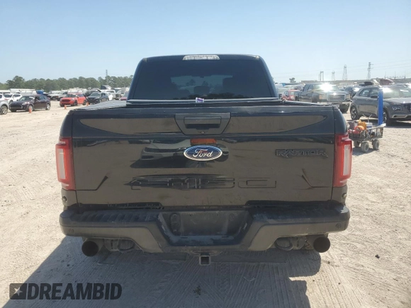 2019 Ford F-150 Raptor with VIN 1FTFW1RG0KFB43691, listed as a Copart auction lot 51160605 with 174,785 mi miles and Salvage Title. Bid and sale history available at carsss.com. Image 6.