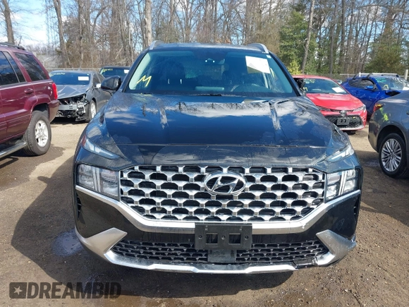 2022 Hyundai Santa Fe SEL with VIN 5NMS2DAJ2NH457997, listed as a IAAI auction lot 41667300 with 34,045 mi miles. Bid and sale history available at carsss.com. Image 12.