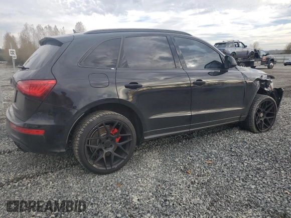 2016 Audi SQ5 Premium Plus with VIN WA1CCAFP4GA030809, listed as a Copart auction lot 77433714 with 134,946 mi miles and Salvage Title. Bid and sale history available at carsss.com. Image 3.