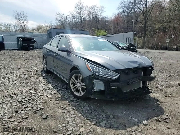 2019 Hyundai Sonata SEL with VIN 5NPE34AF8KH758858, listed as a Copart auction lot 52554245 with 95,771 mi miles and Salvage Title. Bid and sale history available at carsss.com. Image 11.