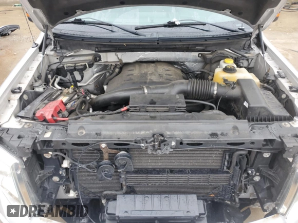 2013 Ford F-150 XL with VIN 1FTFW1ET7DKG21120, listed as a Copart auction lot 60106235 with 123,446 mi miles and Salvage title. Bid and sale history available at DreamBid. Image 11.