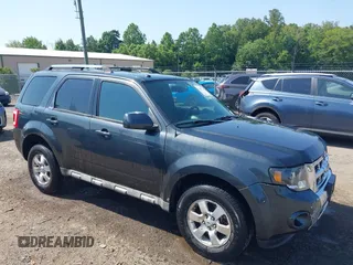2009 Ford Escape Limited with VIN 1FMCU04739KB48262, listed as a IAAI auction lot 42564760 with 175,058 mi miles and . Bid and sale history available at DreamBid. Image 1.