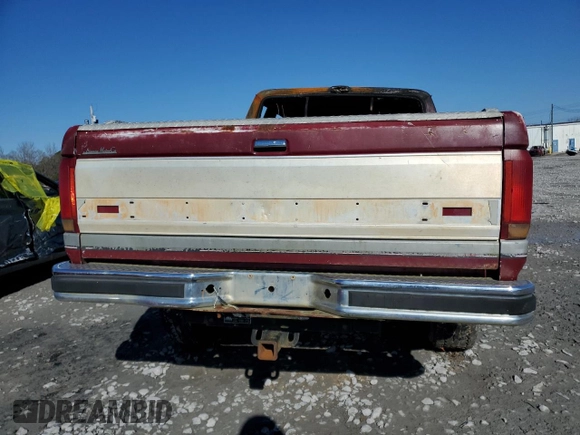 1991 Ford F-150 with VIN 1FTEX14H1MKA52920, listed as a Copart auction lot 87214614 with Not Provided miles and Non Repairable. Bid and sale history available at carsss.com. Image 6.