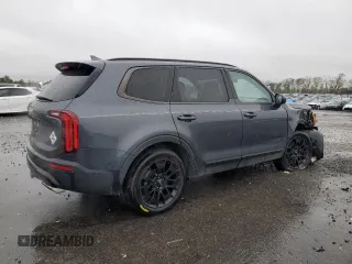 2022 Kia Telluride EX with VIN 5XYP3DHC2NG255732, listed as a Copart auction lot 52604795 with 32,117 mi miles and Salvage title. Bid and sale history available at DreamBid. Image 3.