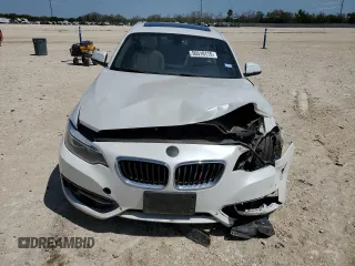 2016 BMW 2 Series 228i with VIN WBA1F9C56GV545399, listed as a Copart auction lot 50510115 with 65,500 mi miles and Clean Title. Bid and sale history available at carsss.com. Image 5.