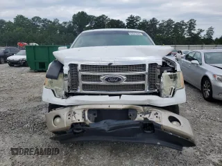 2009 Ford F-150 XL with VIN 1FTPW14V19FB11482, listed as a Copart auction lot 62647635 with 317,024 mi miles and Salvage title. Bid and sale history available at DreamBid. Image 5.