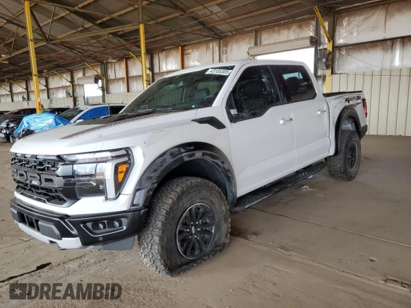 2024 Ford F-150 Raptor with VIN 1FTFW1RG2RFA80359, listed as a Copart auction lot 43185305 with 18,758 mi miles and Salvage Title. Bid and sale history available at DreamBid. Image 1.